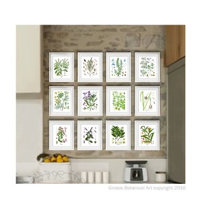 May include: A set of 12 botanical prints in white frames, featuring various herbs and flowers. The prints are arranged in a grid pattern on a stone wall. The prints are all in a vintage style and feature detailed illustrations of the plants.