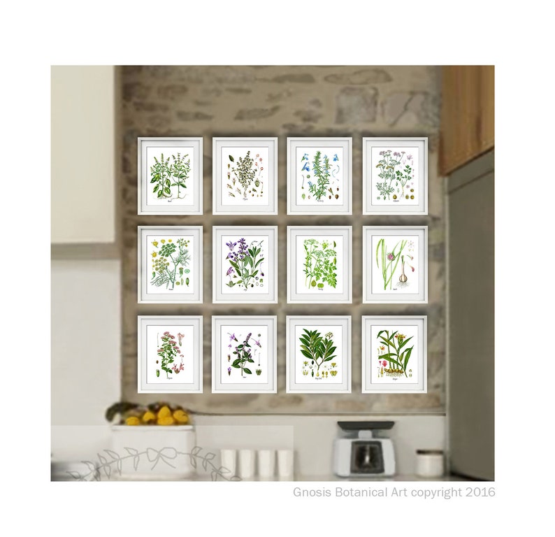 May include: A set of 12 botanical prints in white frames, featuring various herbs and flowers. The prints are arranged in a grid pattern on a stone wall. The prints are all in a vintage style and feature detailed illustrations of the plants.