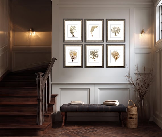 Coastal Decor Sea Fan Coral set of 6 wall art prints in brown sepia orange bedroom beach decor