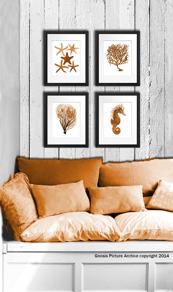 Coral Wall Decor Ideas