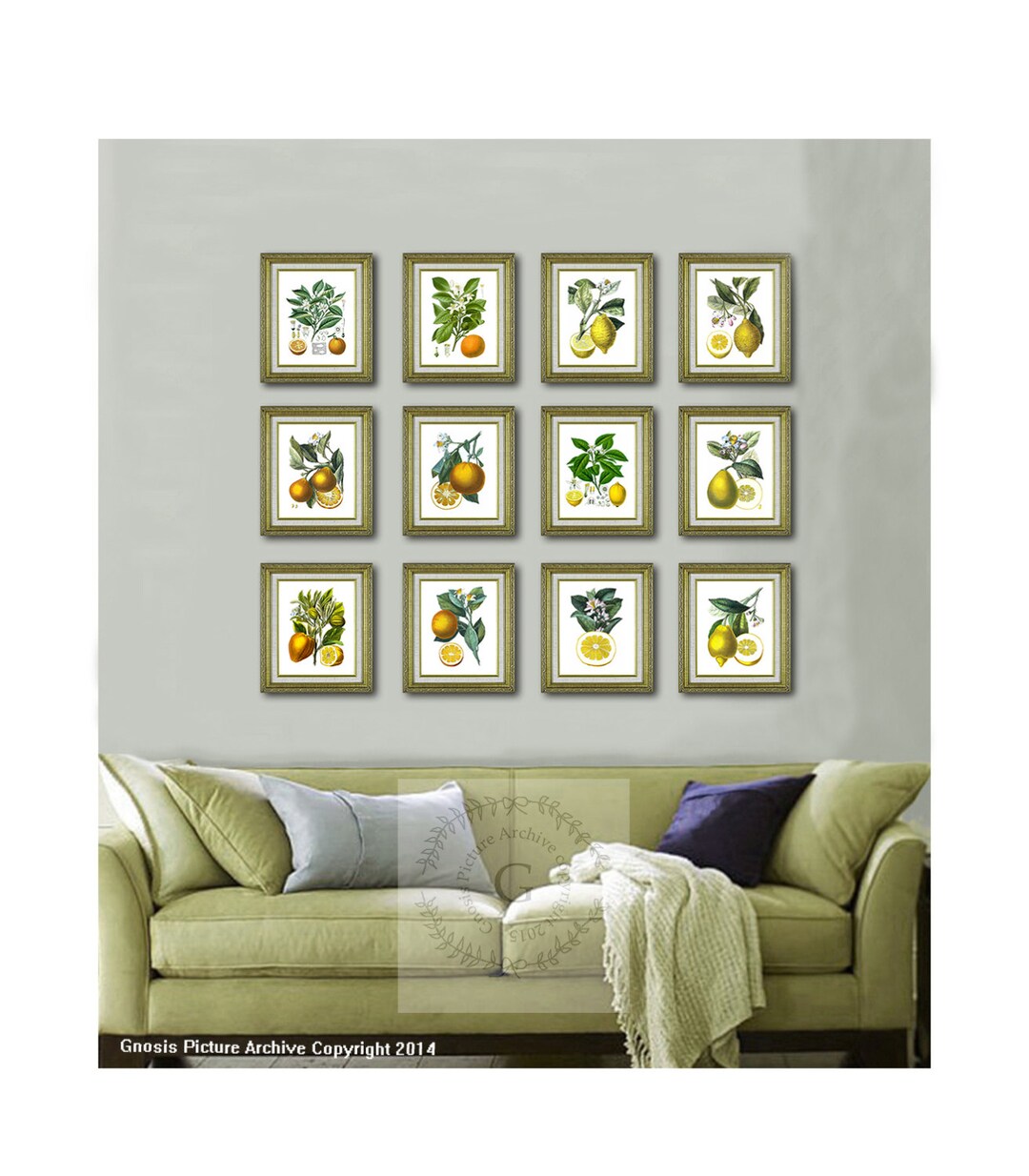 add a touch of nature to your kitchen with citrus... Citrus Prints Fruits Wall Art Set of 12 Antique Orange Lemon Kitchen ...