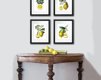 Lemon Art Prints Set of 4 unframed Botanical Print Set Etsy Wall Art for Kitchen or Lemonade Stand Sign