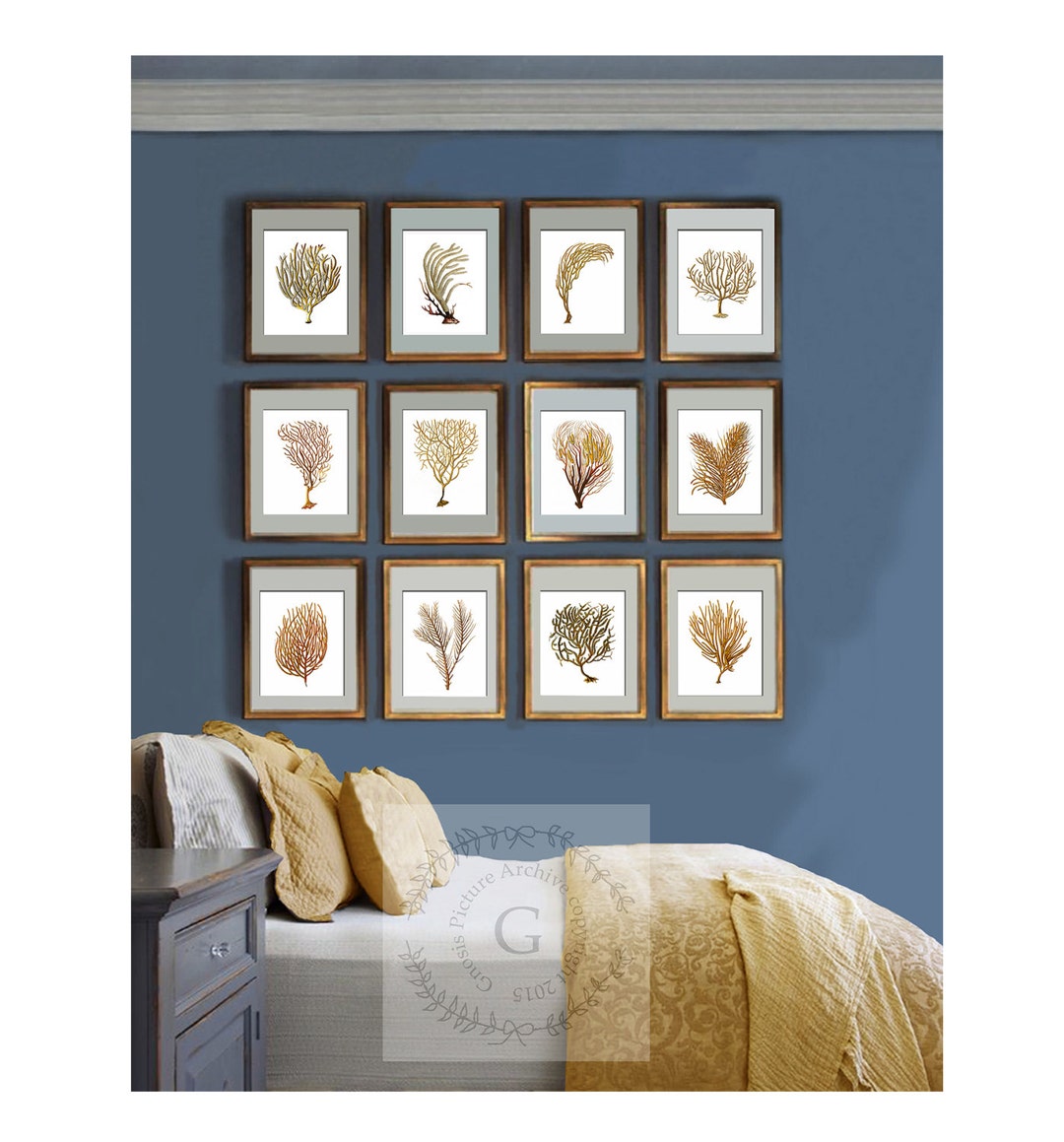 Beach Wall Decor Sea Fan Art Sea Coral Prints Set of 12 Unframed