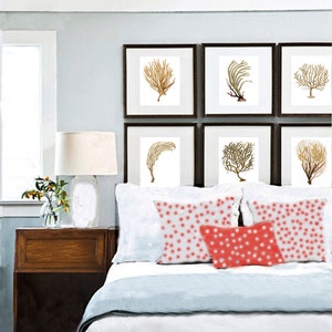 K&ouml;nnte beinhalten: Ein Schlafzimmer mit einem Bett mit wei&szlig;er Bettw&auml;sche, einem hellblauen &Uuml;berwurf und korallenfarbenen Kissen mit wei&szlig;en Sternmustern. &Uuml;ber dem Bett befinden sich gerahmte botanische Drucke von Meerespflanzen in Gold- und Braunt&ouml;nen.