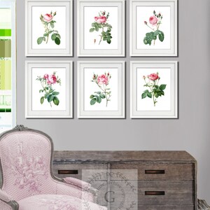 May include: Six white framed prints of pink roses with green leaves and stems on a gray wall. The prints are arranged in two rows of three. A pink upholstered chair with a floral pattern is in the foreground.