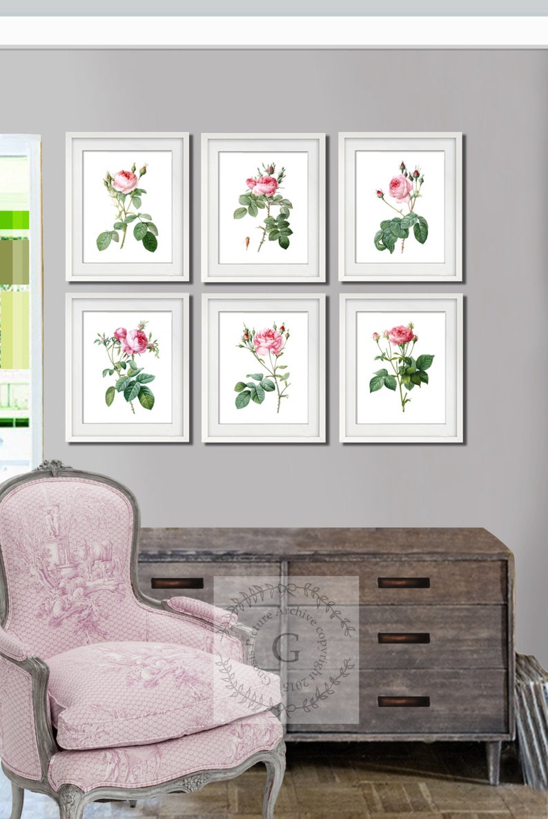 May include: Six white framed prints of pink roses with green leaves and stems on a gray wall. The prints are arranged in two rows of three. A pink upholstered chair with a floral pattern is in the foreground.