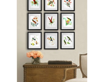 Hummingbird art prints set of 9 unframed etsy wall art Hummingbird Gift for housewarming Cottagecore Decor