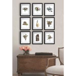 Antique Bird Nest Art Prints set of 9 Spring Living room Decor, Dining room Decor, Bird Eggs wall art decor, 8x10&quot; Gnosis picture archive