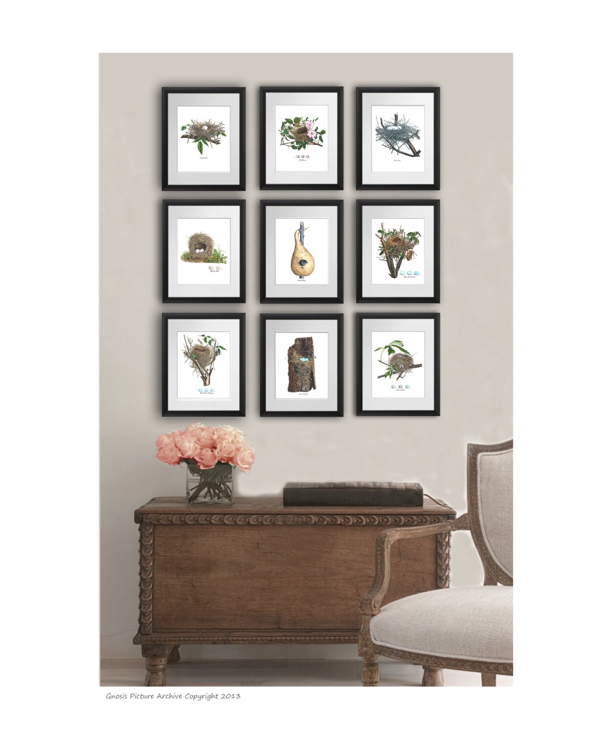 Antique Bird Nest Art Prints set of 9 Spring Living room Decor, Dining room Decor, Bird Eggs wall art decor, 8x10" Gnosis picture archive