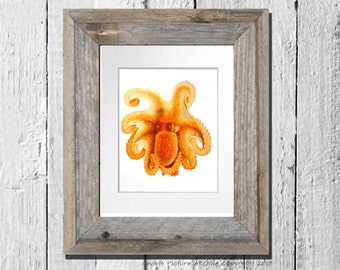 Wall Art Orange Octopus Print No.5 Sea Life Ocean Animals Art Kids Dorm Beach Coastal Nautical Bedroom Home Decor 8x10 GnosisPictureArchive