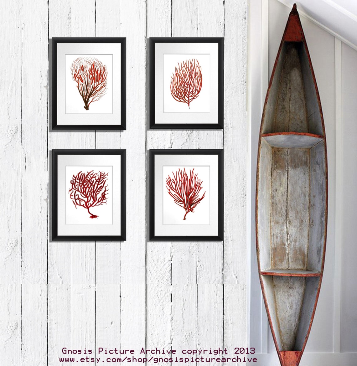 Red Sea Coral Art Prints Set of 4 Beach Art Decor Beach Etsy