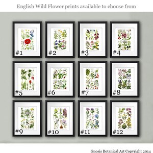 English Wildflowers Wall Art set of 6 unframed English Cottage decor, Cottagecore image 5