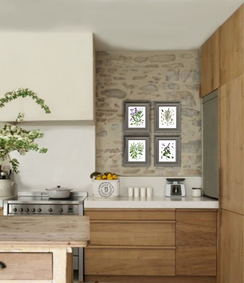 Botanical Herb Prints Set of 4 Unframed Botanical Herb Kitchen Etsy