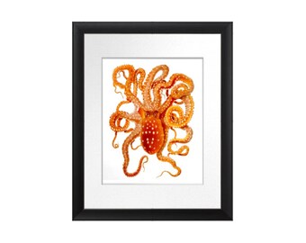 Vintage Octopus poster art print No.6 Sea Life orange Octopus decor Beach bathroom wall art Coastal Nautical art Decor 8x10