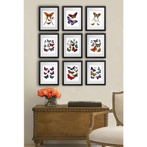 Butterfly Decorations for wall set of 9 colorful butterflies art prints gift for her, girls room decor, butterfly wall art