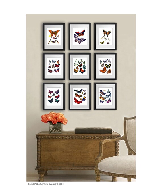 Butterfly Print Set of 9 Prints Antique Art Beautiful Colored Colorful Butterfly Art Prints Set of 9 5x7 Unframed - Etsy