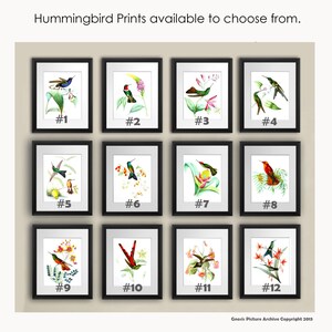 May include: Twelve framed prints of hummingbirds with different coloured feathers and flowers. The prints are numbered 1 through 12.