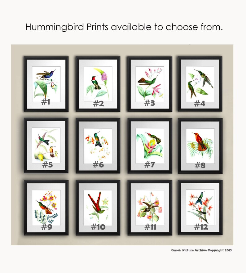 May include: Twelve framed prints of hummingbirds with different coloured feathers and flowers. The prints are numbered 1 through 12.