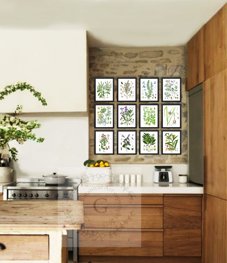 May include: A kitchen with a rustic stone wall and a set of 12 framed botanical prints featuring various plants and flowers. The prints are arranged in a grid pattern on the wall. The kitchen also features a wooden countertop, a stove, and a cabinet.