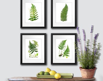 Grandmillenial Decor Botanical Print Set of 4 Fern Leaves Wall Art Decor for Living Room Dining Room Bedroom or Bathroom