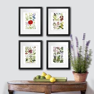 Wild Flowers Art Prints set of 12 English Country Decor Wild Flower Wall Art image 3