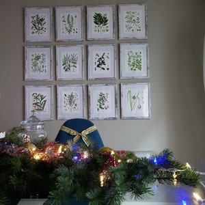 May include: A collection of 12 framed botanical prints featuring various plants and flowers. The prints are arranged in a grid pattern on a light gray wall. A blue chair with a gold bow sits in front of the prints. A garland of greenery with red and blue lights is in the foreground.