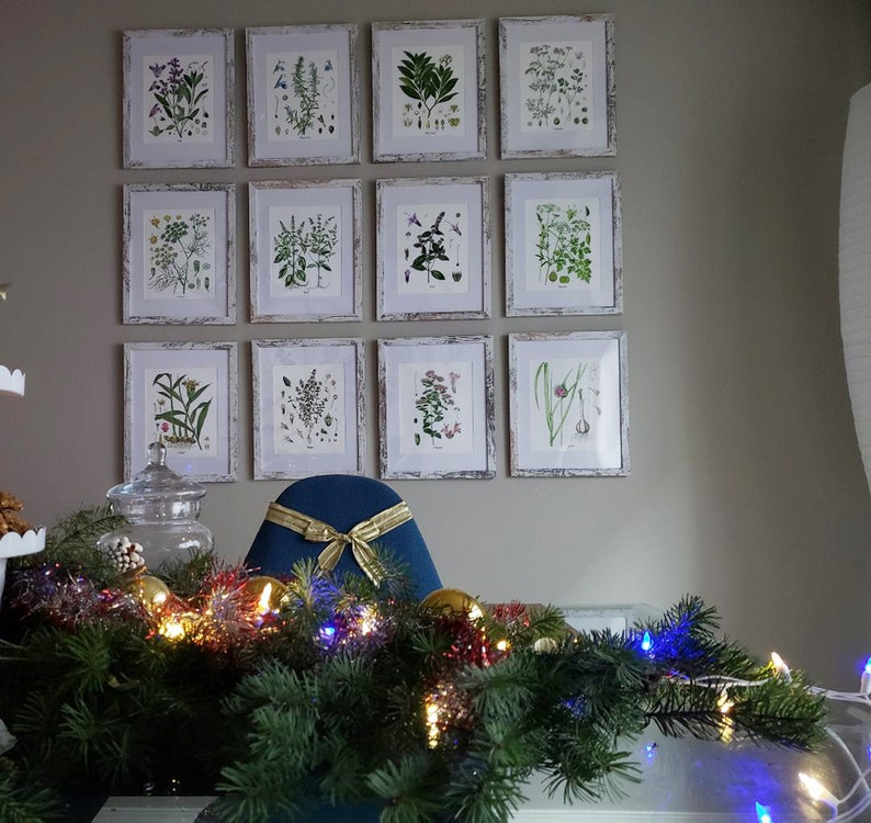 May include: A collection of 12 framed botanical prints featuring various plants and flowers. The prints are arranged in a grid pattern on a light gray wall. A blue chair with a gold bow sits in front of the prints. A garland of greenery with red and blue lights is in the foreground.
