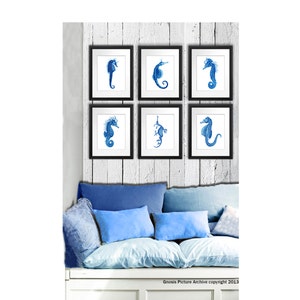 Coastal Decor Blue Seahorse Sea Horse Art Print Set of 6 Father&#39;s Day Gift Art Print 8x10 Bathroom Wall Art Decor Gnosis Picture Archive