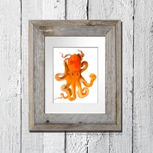 Strand Dekor Orange Oktopus Druck Cephalopod No.9 Meeresbewohner Meer Leben Strand Kunst Küstenwand Kunst Maritimes Dekor 8x10 GnosisPictureArchive