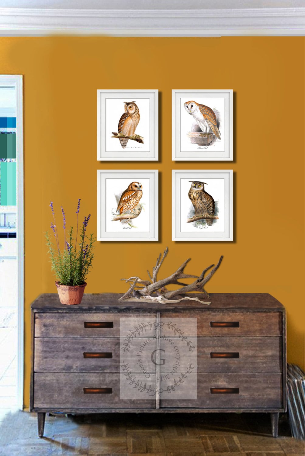 Eastern Great Horned Owl Art Print 8x10" Owl Print #3 Bird Print ...