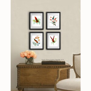 Hummingbirds art print set of 4 unframed Bird and Botanical art print set gift for mom