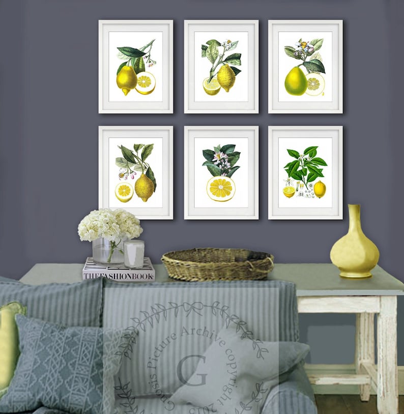 Lemons Vintage Botanical Illustrations Art print Set of 6 Citrus Prints Dining Room Wall Decor image 1