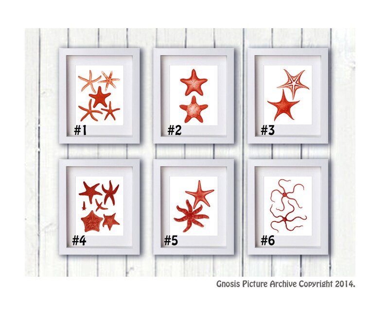 Set of 4 Red Starfish Art Prints for Beach House Wall Decor - Etsy