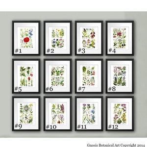 Wild Flowers Art Prints set of 12 English Country Decor Wild Flower Wall Art image 5