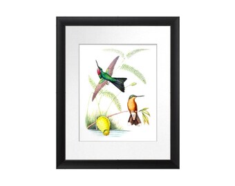 Flying Bird Wall Art Hummingbirds Bird Print no.5 Spring / Summer Home Decor Art Print.