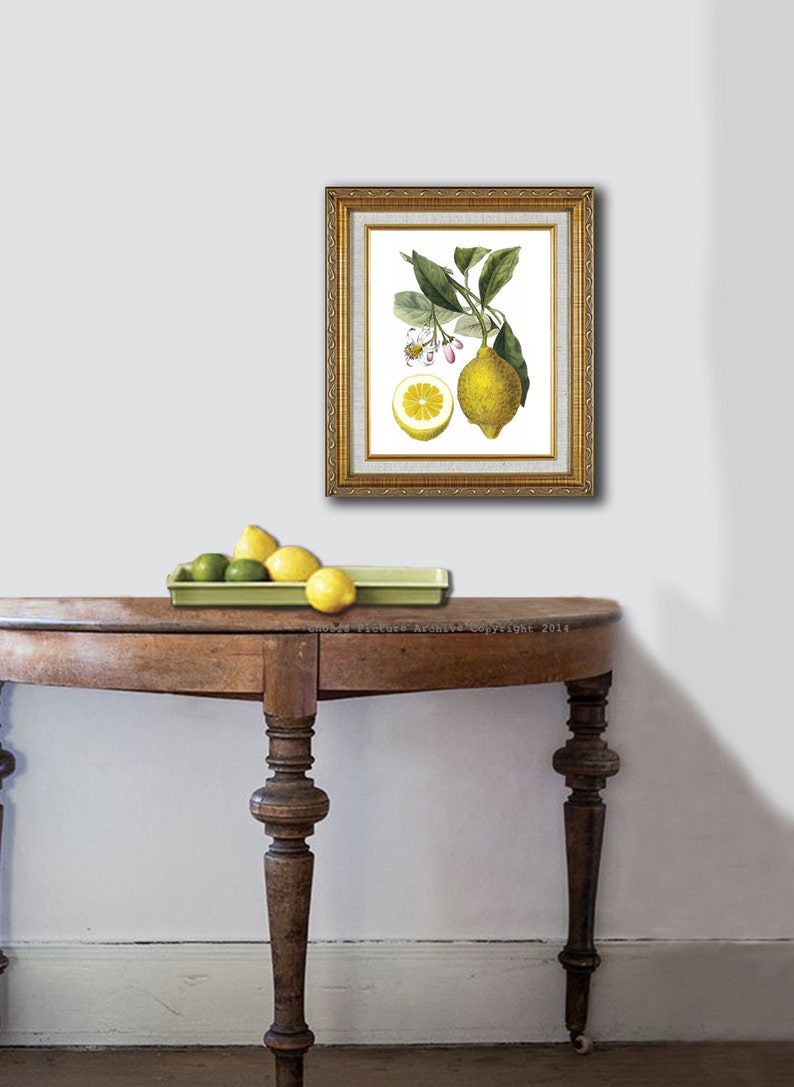 Lemon Art Print No.9 Unframed Wall Art image 4