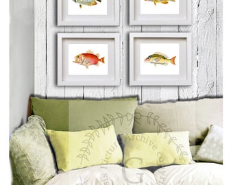 Tropical Fish Wall Art Decor for bathroom set of 4 Unframed tropical fish Bathroom decor