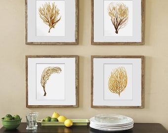 Sea Fan Art Print, Sea Coral Prints Set of 4  Beach Wall Decor sepia brown orange coastal art decor 8x10" GnosisPictureArchive