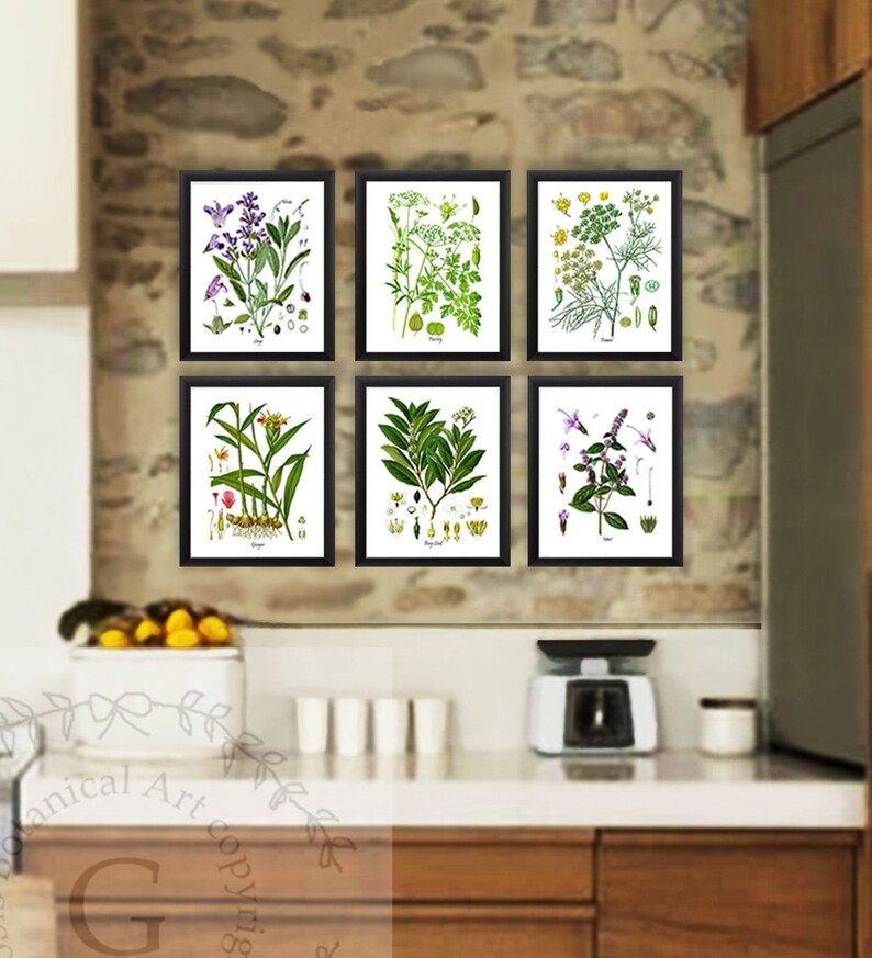 Herbs Art Prints Set of 6 Unframed Kitchen Herbs Prints Great for ...