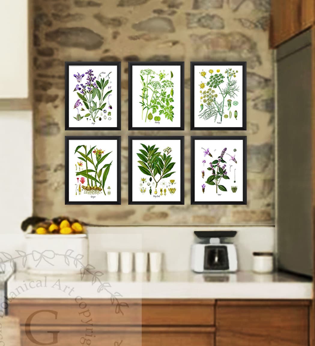 Herbs Art Prints Set of 6 Unframed Kitchen Herbs Prints Great Etsy