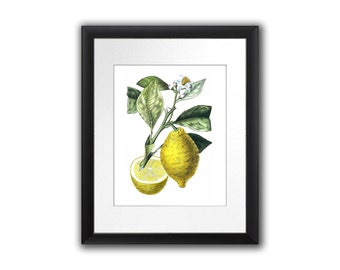 Lemon Decor Art Print No.10 Lemonade stand decor