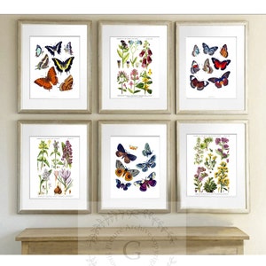 Butterfly Wall Art and Wild Flowers Wall Art Set of 6 Unframed Nursery Girls Room Decor