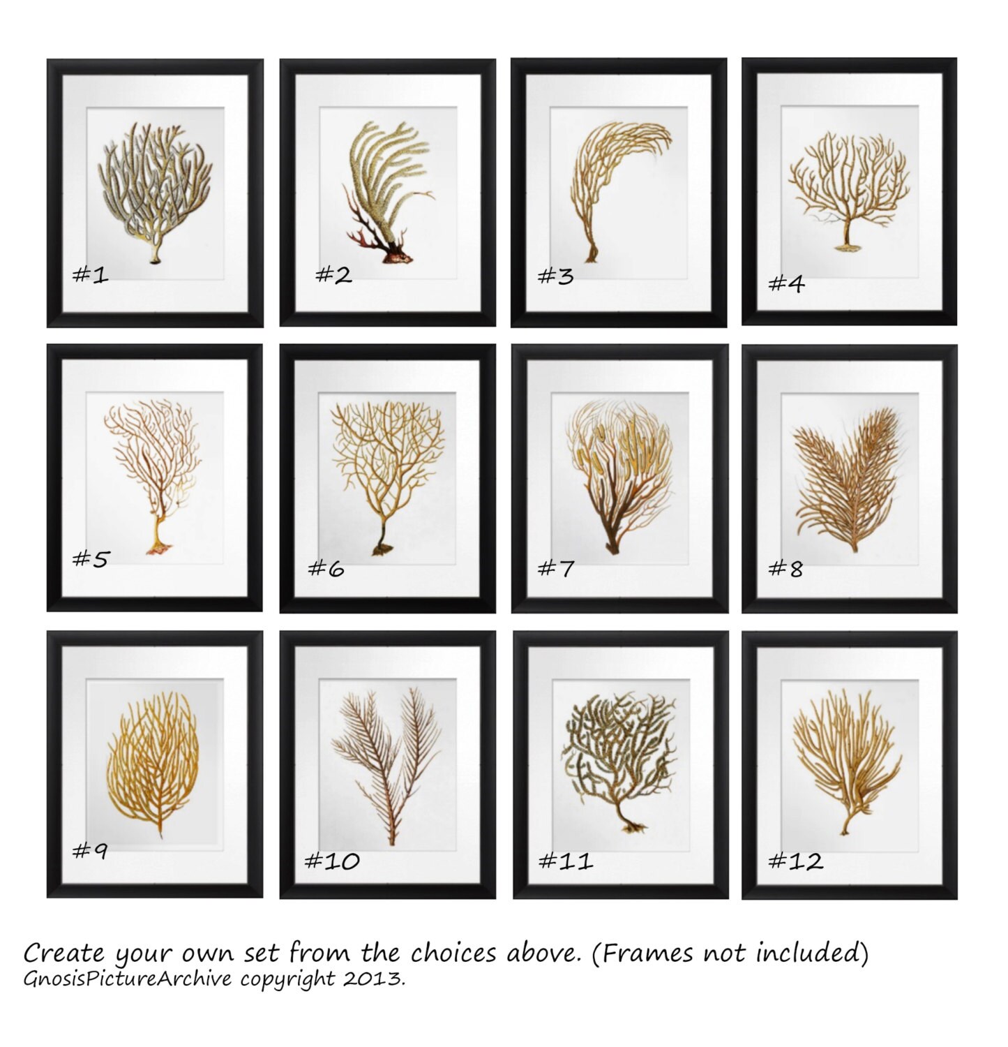 Coastal Decor Sea Fan Coral Set of 6 Wall Art Prints in Brown Etsy