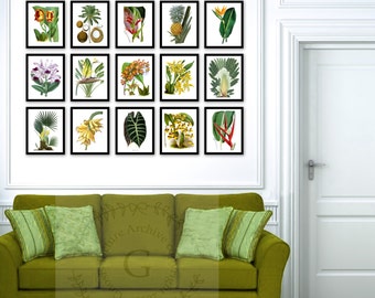 Fall Sale Tropical wall decor set of 15 botanical illustrations wall art prints, Tropical fruits, palm leaves, palm tree, pineapple print