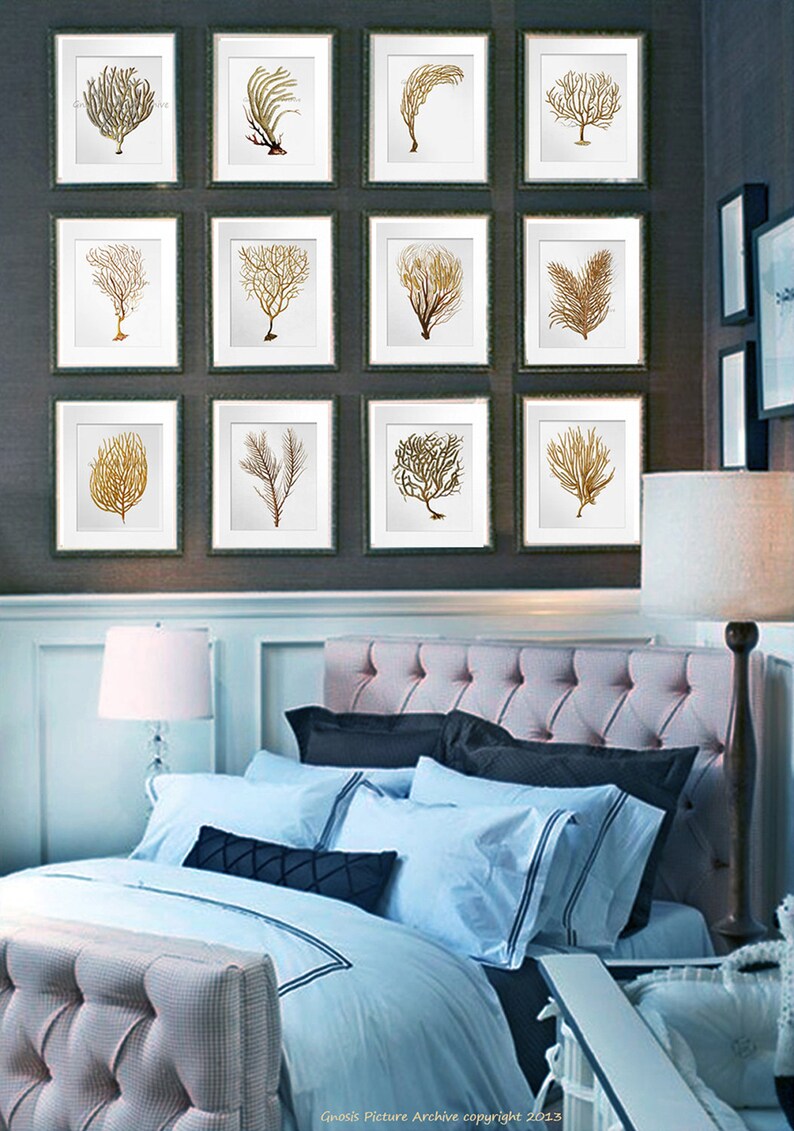 Beach Wall Decor Sea Fan Art Sea Coral Prints Set of 12 Etsy