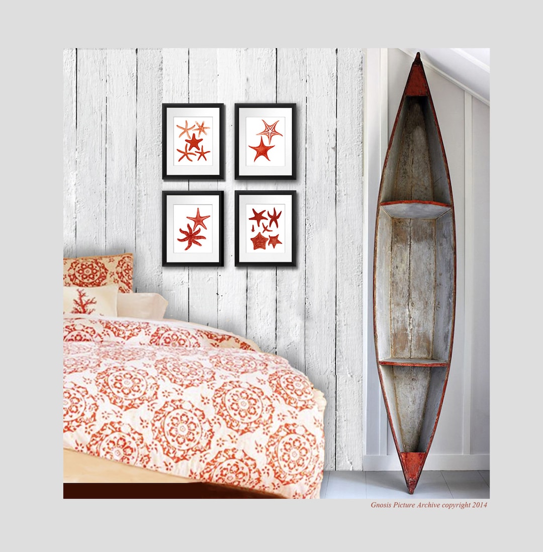 Set of 4 Red Starfish Art Prints for Beach House Wall Decor - Etsy