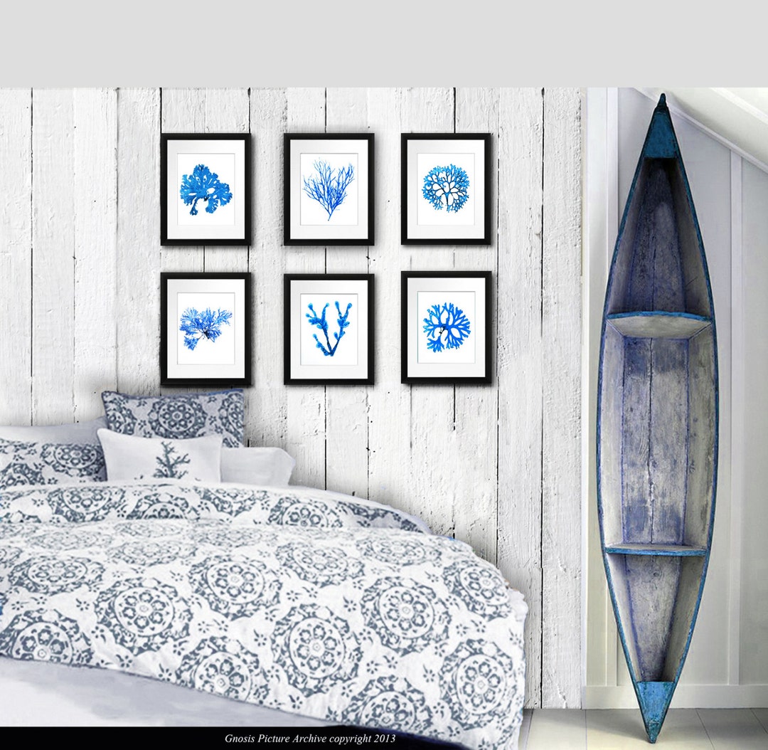 Hamptons Wall Art Blue Seaweed Wall Art Prints Set of 6 Prints Etsy