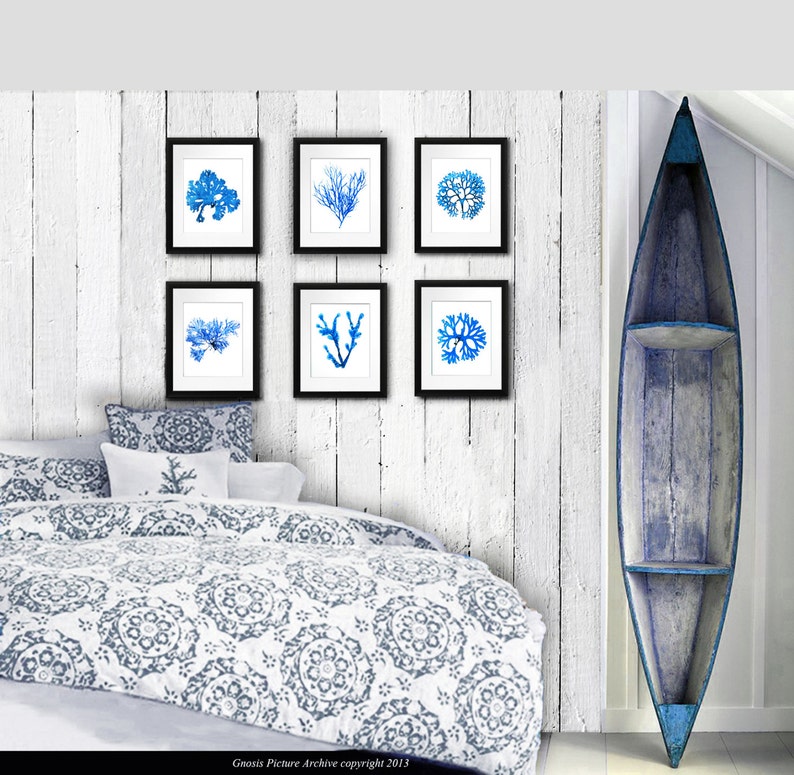 Hamptons Wall Art Blue Seaweed Wall Art Prints Set of 6 Prints Etsy