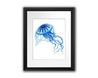 Antique Sealife Print Blue Jellyfish Art Print no.3 Beach Art Decor, Bathroom Wall Art, Coastal Decor, Gnosis Picture Archive 8x10 Print