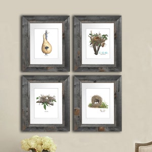 Spring Art Decor, Vintage Bird Nest Art set of 12 Bird Egg Prints Living room Decor, Neutral interior decor, Bird Eggs art, Gift for her image 3